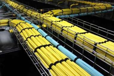 �W�j��������ܛ���OӋ�͌��F